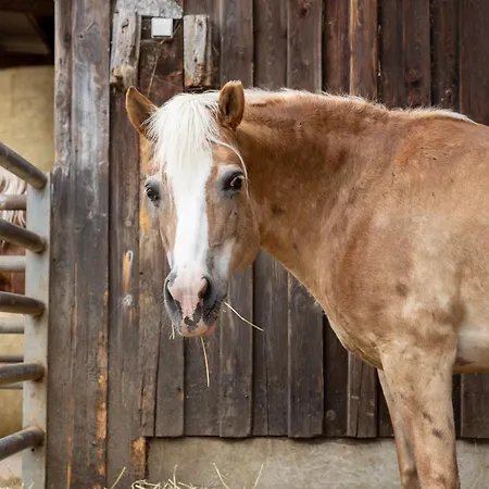 Daire In Laendlicher Lage