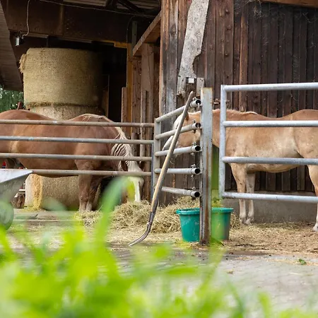 In Laendlicher Lage Daire Meckenbeuren