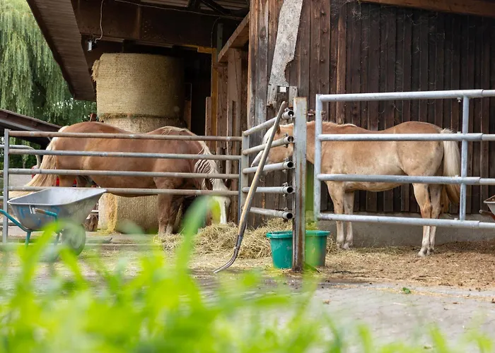 In Laendlicher Lage Apartamento Meckenbeuren